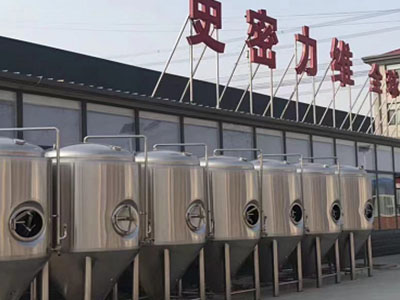 西盟精酿啤酒设备厂—市场规模与跨界新需求